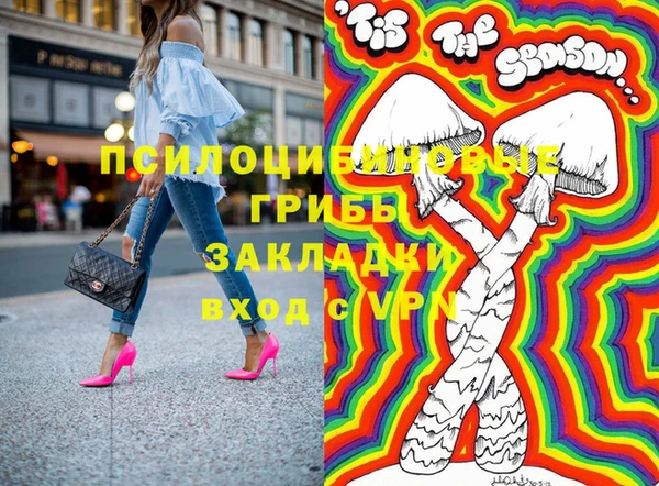 соль ск Бородино