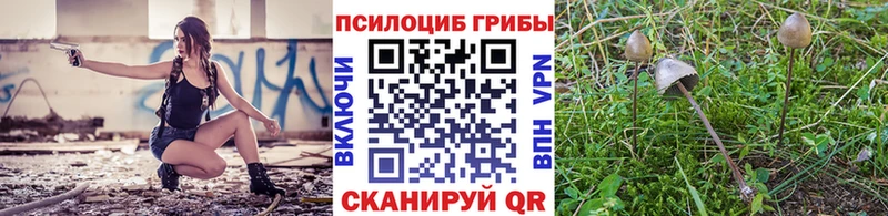 Галлюциногенные грибы GOLDEN TEACHER  наркошоп  площадка какой сайт  Комсомольск-на-Амуре 